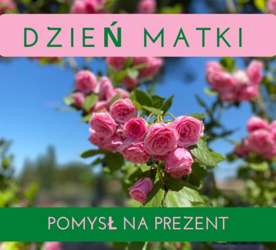 Dzień-Matki