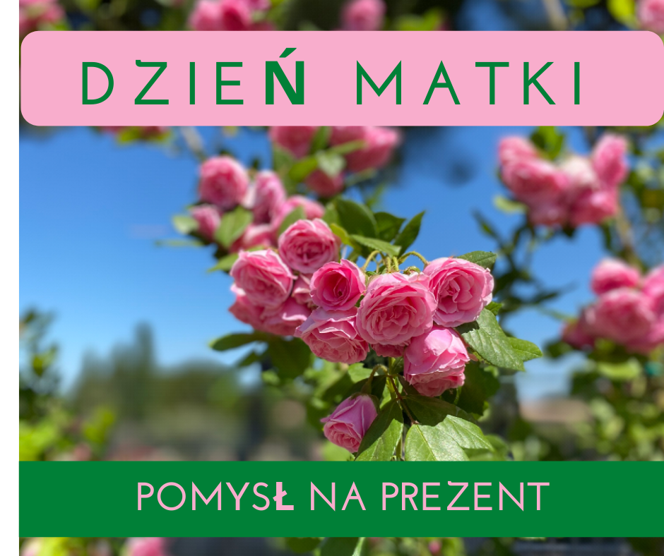 Dzień Matki